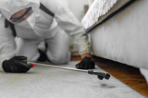 Professional Bed Bug Control technician working in Lantana, FL